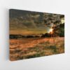 country summer sunset stretched canvas