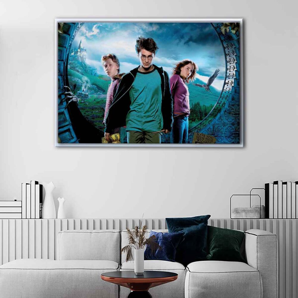 harry potter floating frame canvas