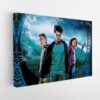 harry potter stretched canvas