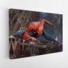 spider man stretched canvas